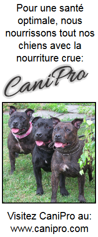 CaniPro | Nourriture crue pour chien